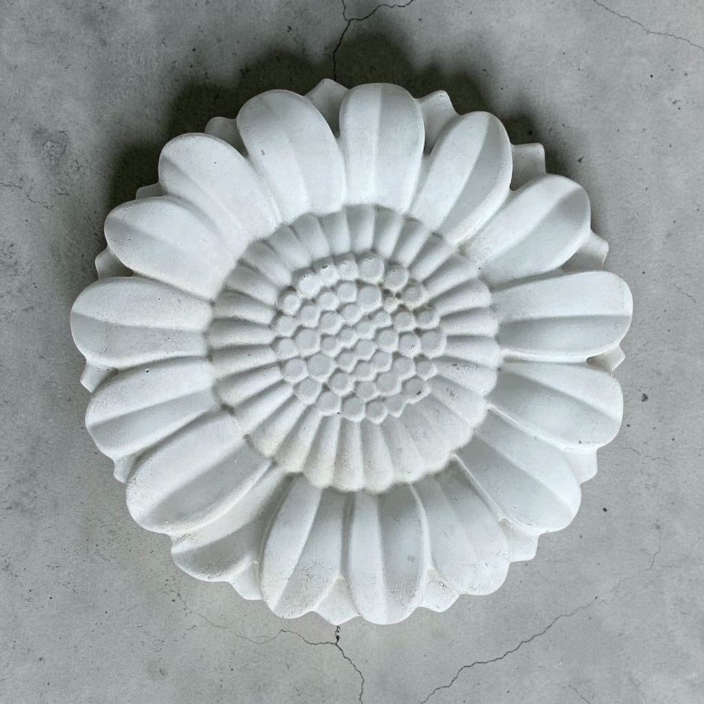 Paint-Your-Own Concrete Stepping Stone