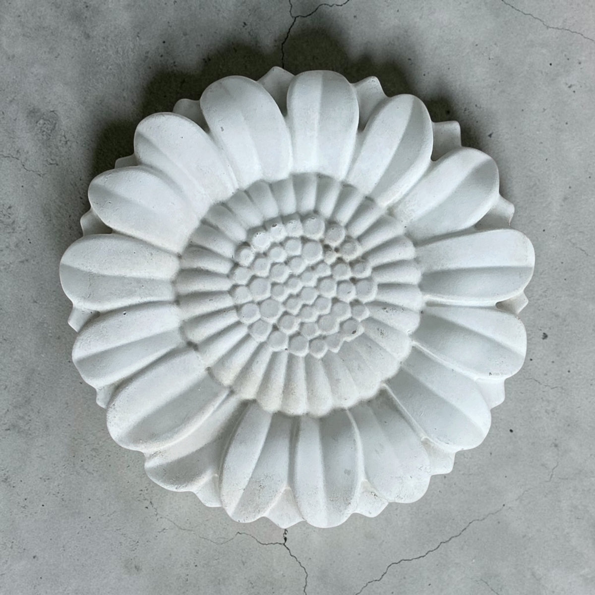 Paint-Your-Own Concrete Stepping Stone